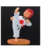 Příslušenství Taekwondo